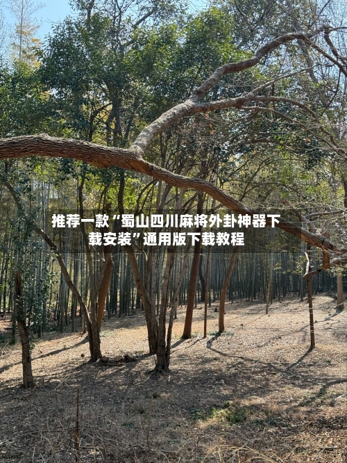 推荐一款“蜀山四川麻将外卦神器下载安装”通用版下载教程