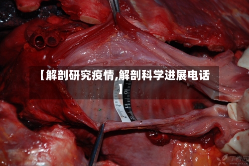 【解剖研究疫情,解剖科学进展电话】-第1张图片