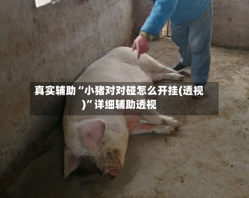 真实辅助“小猪对对碰怎么开挂(透视)	”详细辅助透视-第2张图片