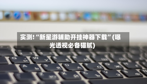 实测!“新星游辅助开挂神器下载”(曝光透视必备猫腻)