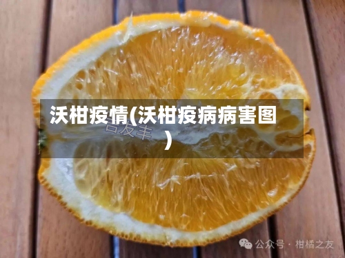沃柑疫情(沃柑疫病病害图)-第1张图片