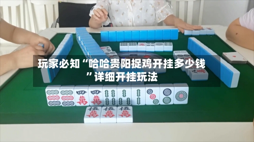 玩家必知“哈哈贵阳捉鸡开挂多少钱	”详细开挂玩法-第1张图片