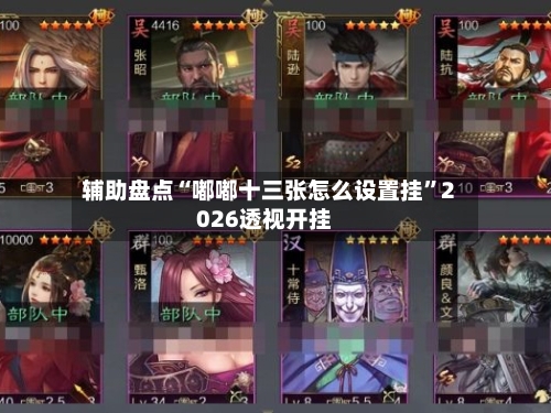 辅助盘点“嘟嘟十三张怎么设置挂”2026透视开挂-第1张图片