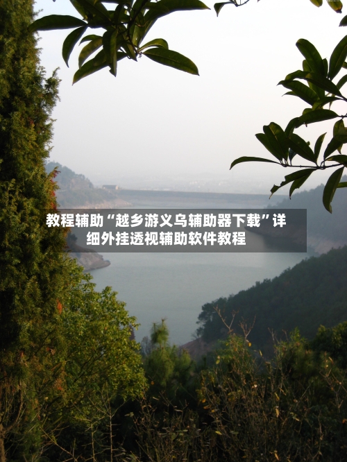 教程辅助“越乡游义乌辅助器下载”详细外挂透视辅助软件教程-第2张图片