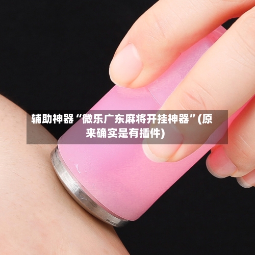 辅助神器“微乐广东麻将开挂神器	”(原来确实是有插件)-第1张图片