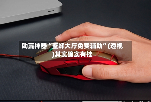 助赢神器“蜜蜂大厅免费辅助”(透视)其实确实有挂