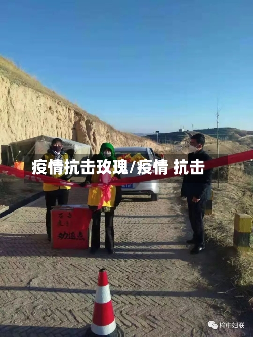 疫情抗击玫瑰/疫情 抗击