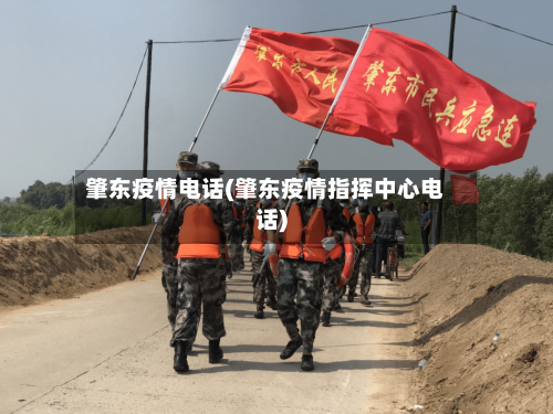 肇东疫情电话(肇东疫情指挥中心电话)