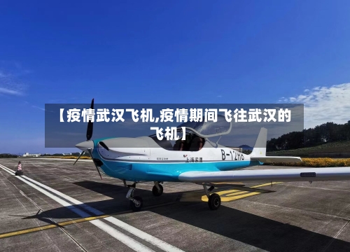 【疫情武汉飞机,疫情期间飞往武汉的飞机】-第2张图片