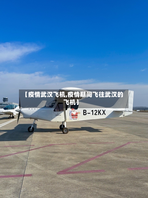 【疫情武汉飞机,疫情期间飞往武汉的飞机】