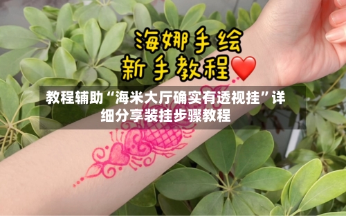 教程辅助“海米大厅确实有透视挂”详细分享装挂步骤教程