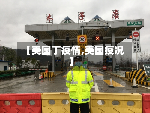 【美国丁疫情,美国疫况】-第2张图片