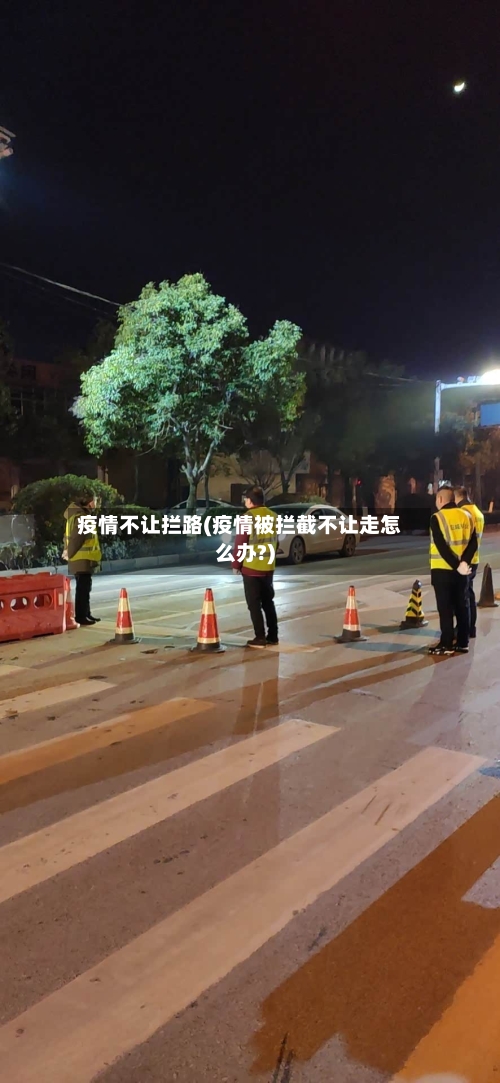 疫情不让拦路(疫情被拦截不让走怎么办?)-第3张图片