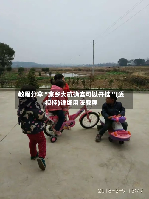 教程分享“家乡大贰确实可以开挂“(透视挂)详细用法教程-第2张图片