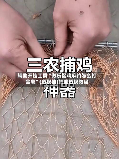辅助开挂工具“微乐捉鸡麻将怎么打会赢”(透视挂)辅助透视教程