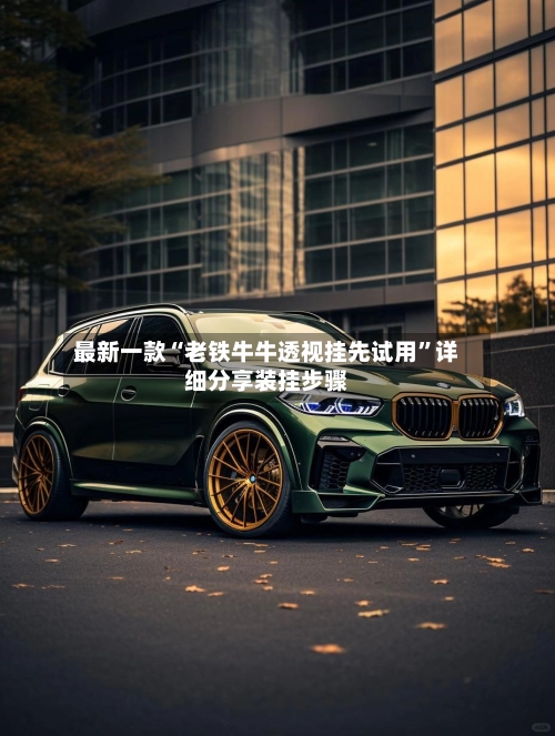 最新一款“老铁牛牛透视挂先试用”详细分享装挂步骤-第3张图片