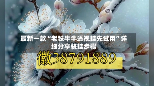 最新一款“老铁牛牛透视挂先试用	”详细分享装挂步骤-第2张图片