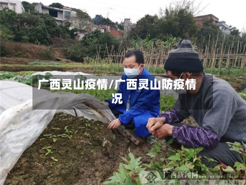 广西灵山疫情/广西灵山防疫情况-第1张图片