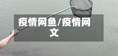 疫情网鱼/疫情网文-第2张图片