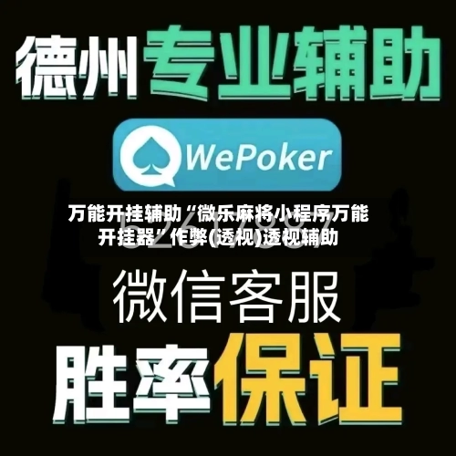 万能开挂辅助“微乐麻将小程序万能开挂器”作弊(透视)透视辅助-第2张图片