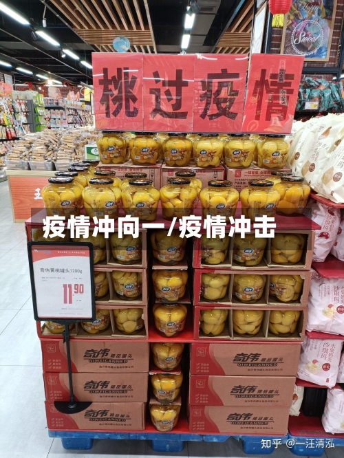 疫情冲向一/疫情冲击-第2张图片