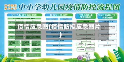 疫情应急图(疫情防控应急图片)-第3张图片