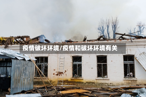 疫情破坏环境/疫情和破坏环境有关-第3张图片