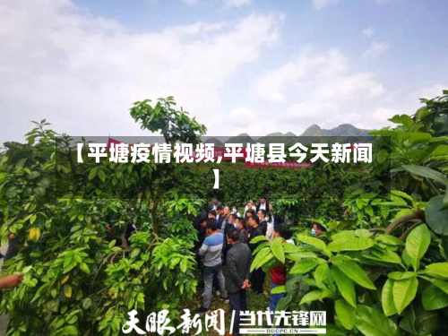 【平塘疫情视频,平塘县今天新闻】-第1张图片