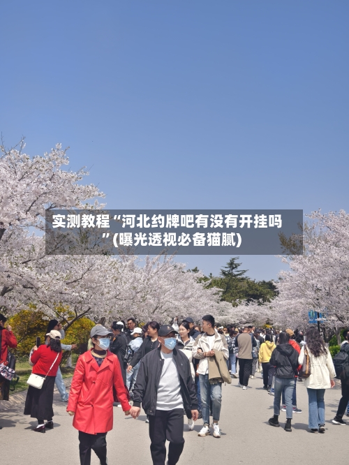 实测教程“河北约牌吧有没有开挂吗”(曝光透视必备猫腻)-第2张图片