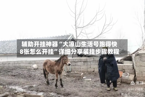 辅助开挂神器“大凉山生活号跑得快8张怎么开挂”详细分享装挂步骤教程