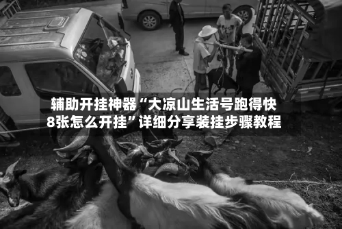 辅助开挂神器“大凉山生活号跑得快8张怎么开挂”详细分享装挂步骤教程-第2张图片