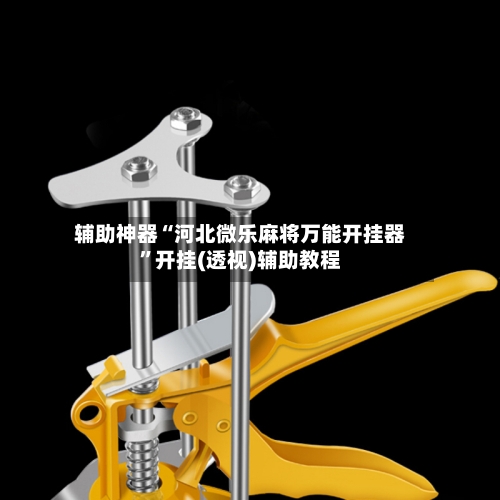 辅助神器“河北微乐麻将万能开挂器”开挂(透视)辅助教程-第1张图片