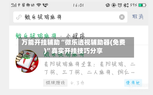 万能开挂辅助“微乐透视辅助器(免费)”真实开挂技巧分享-第2张图片