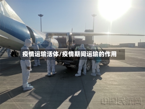 疫情运输活体/疫情期间运输的作用