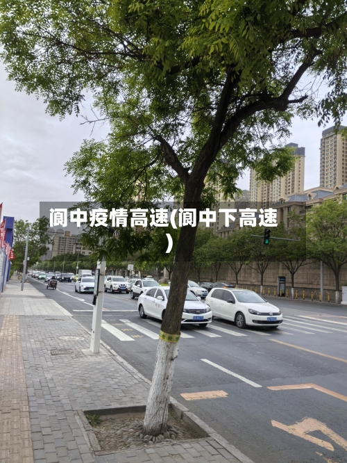 阆中疫情高速(阆中下高速)-第2张图片