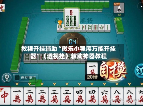 教程开挂辅助“微乐小程序万能开挂器	”（透视挂）辅助神器教程-第2张图片