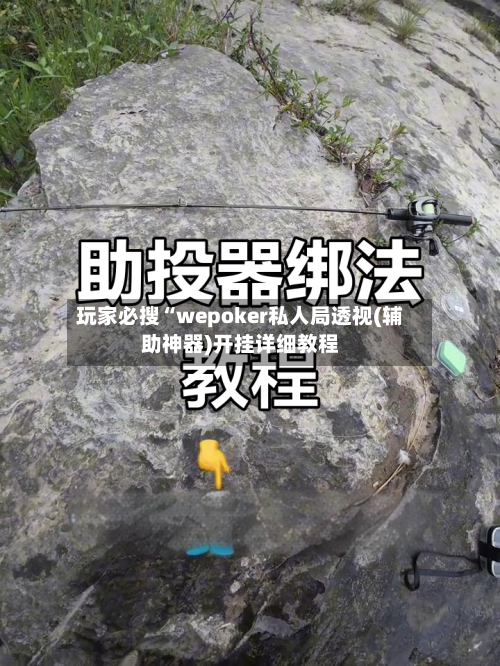玩家必搜“wepoker私人局透视(辅助神器)开挂详细教程-第2张图片