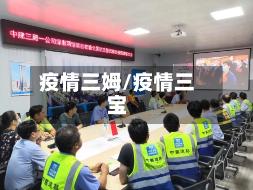 疫情三姆/疫情三宝-第1张图片