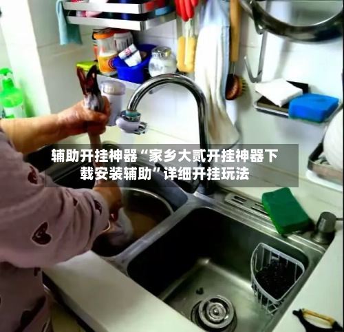 辅助开挂神器“家乡大贰开挂神器下载安装辅助”详细开挂玩法