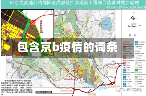 包含京b疫情的词条-第2张图片