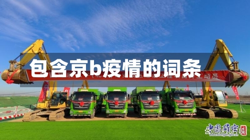 包含京b疫情的词条