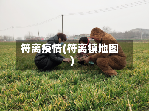 符离疫情(符离镇地图)