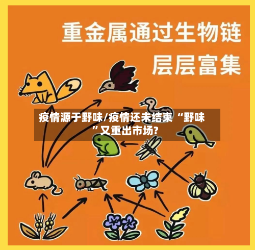 疫情源于野味/疫情还未结束 “野味”又重出市场?-第2张图片