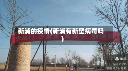新浦的疫情(新浦有新型病毒吗)-第2张图片