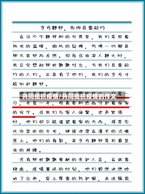 共同抵抗疫情/共同抵抗疫情的作文