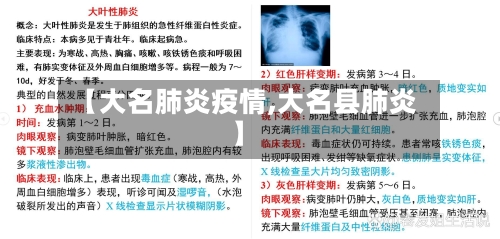 【大名肺炎疫情,大名县肺炎】