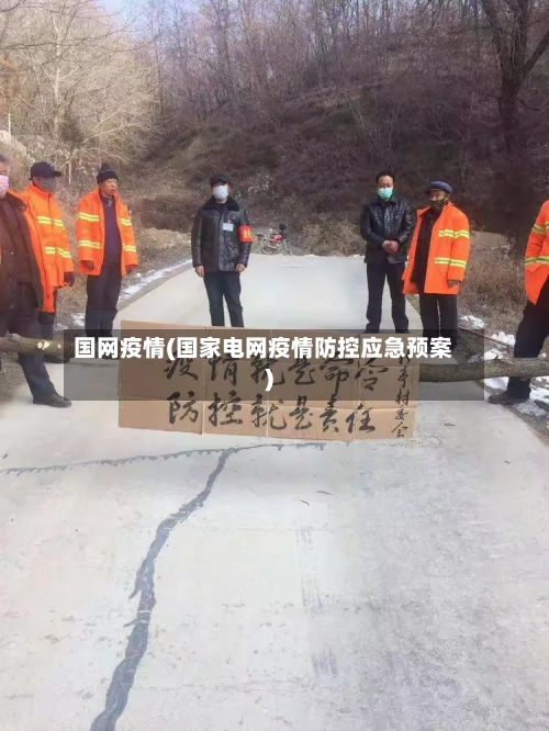 国网疫情(国家电网疫情防控应急预案)
