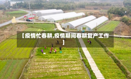 【疫情忙春耕,疫情期间春耕复产工作】