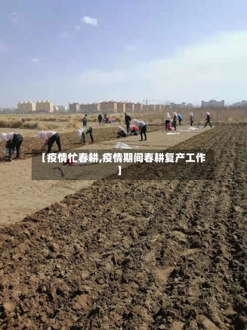 【疫情忙春耕,疫情期间春耕复产工作】-第2张图片