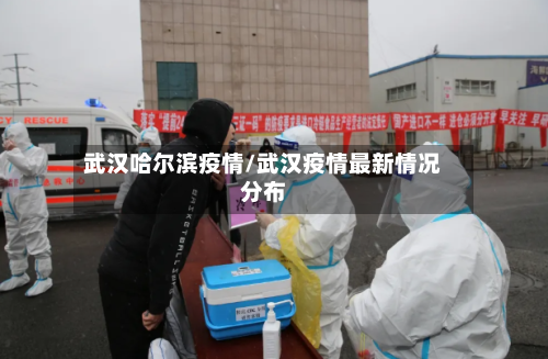 武汉哈尔滨疫情/武汉疫情最新情况分布-第2张图片